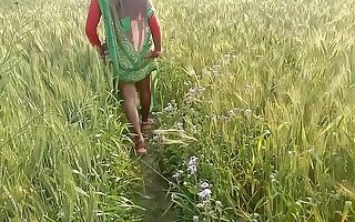 Indian Village Bhabhi Fucking Outdoor Sexual intercourse In Hindi